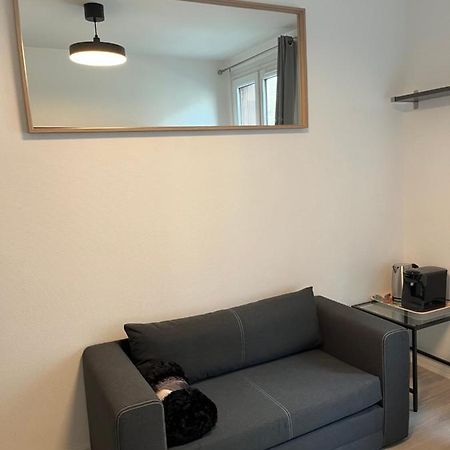 Le Thabor Convivial Apartment Rennes Exterior foto